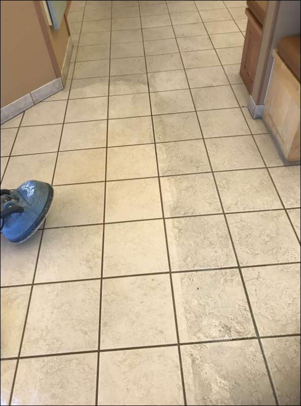 Carpet Cleaning Fort Collins Carpet Cleaning Greeley